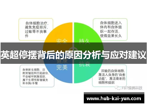 英超停摆背后的原因分析与应对建议